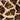 Dark Honeycomb Bark 100g